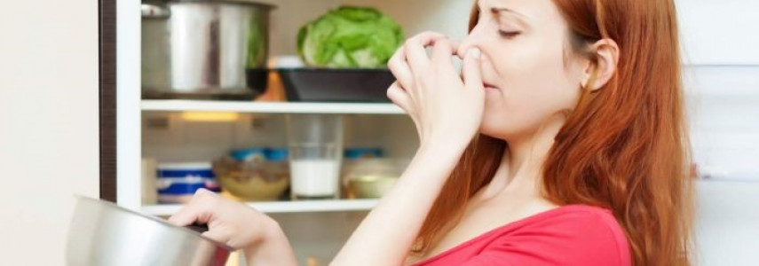 چگونه بوی بد داخل یخچال رو از بین ببریم؟